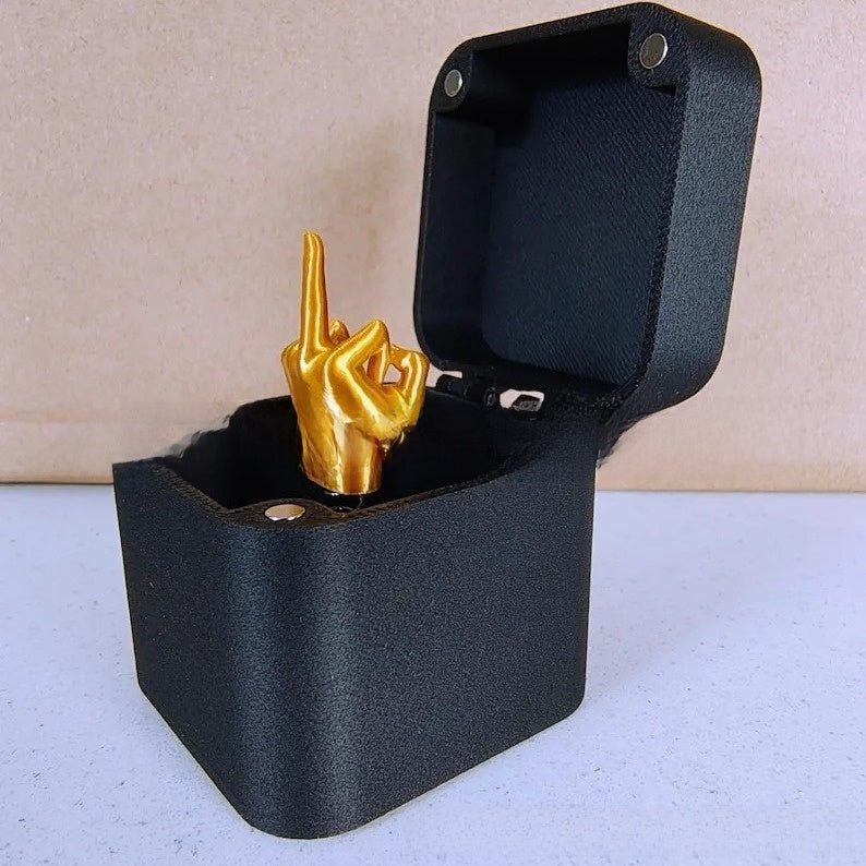 Small Plastic Prank Gift Box with Screws - Option of Middle Finger Prank to Put Inside